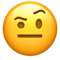 face-with-one-eyebrow-raised_1f928.png