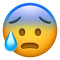 face-with-open-mouth-and-cold-sweat_1f630 (2).png