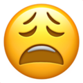 face-with-monocle_1f9d0 (1).png