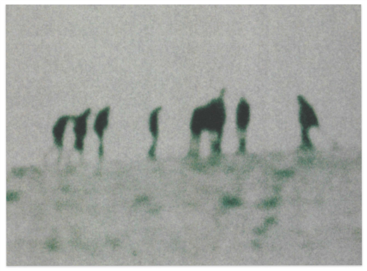 “The unemployment system is in crisis. We urge you to prioritize getting money into workers’ hands as quickly as possible.