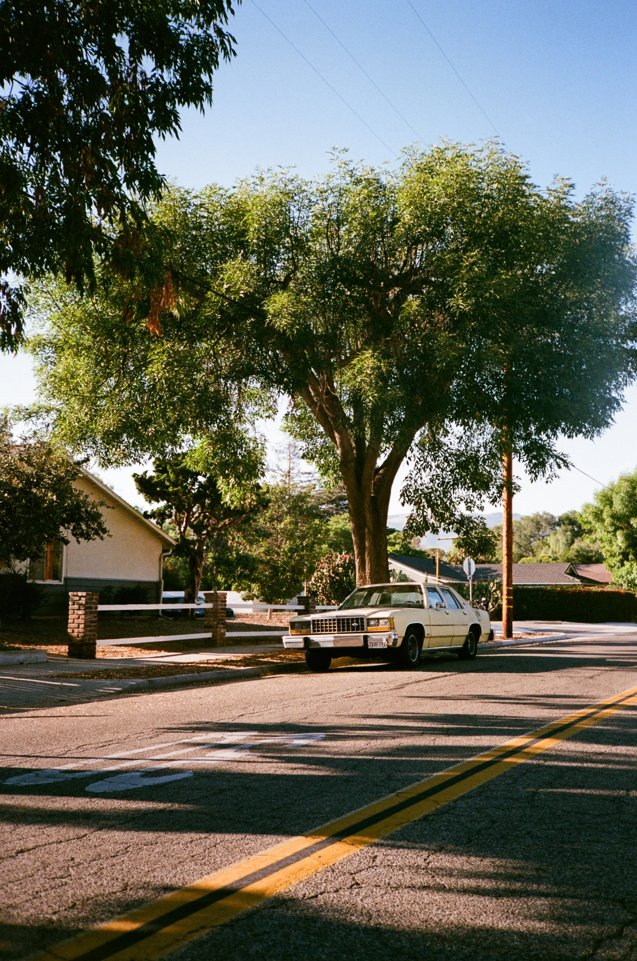 odonohue-8562-FUJI400-04.jpg