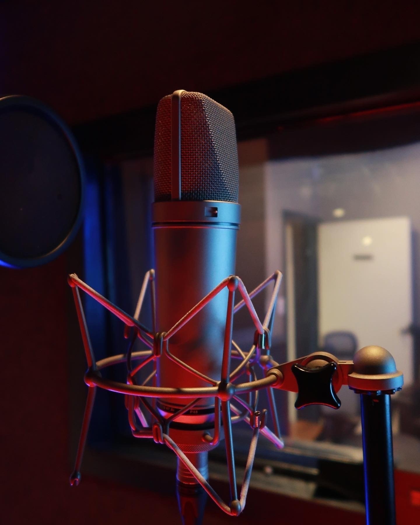 Neumann U87 ai Nickel