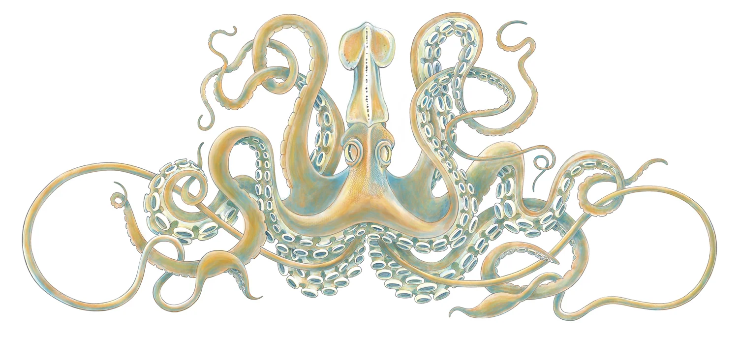 Final conceptual rendering