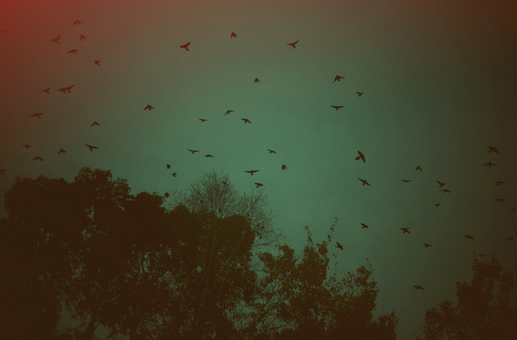 8051552442_d6f2da803f_o.png