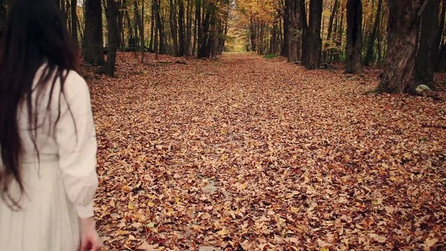 Alec K. Redfearn & the Eyesores - The 7 and 6 (Official Video)