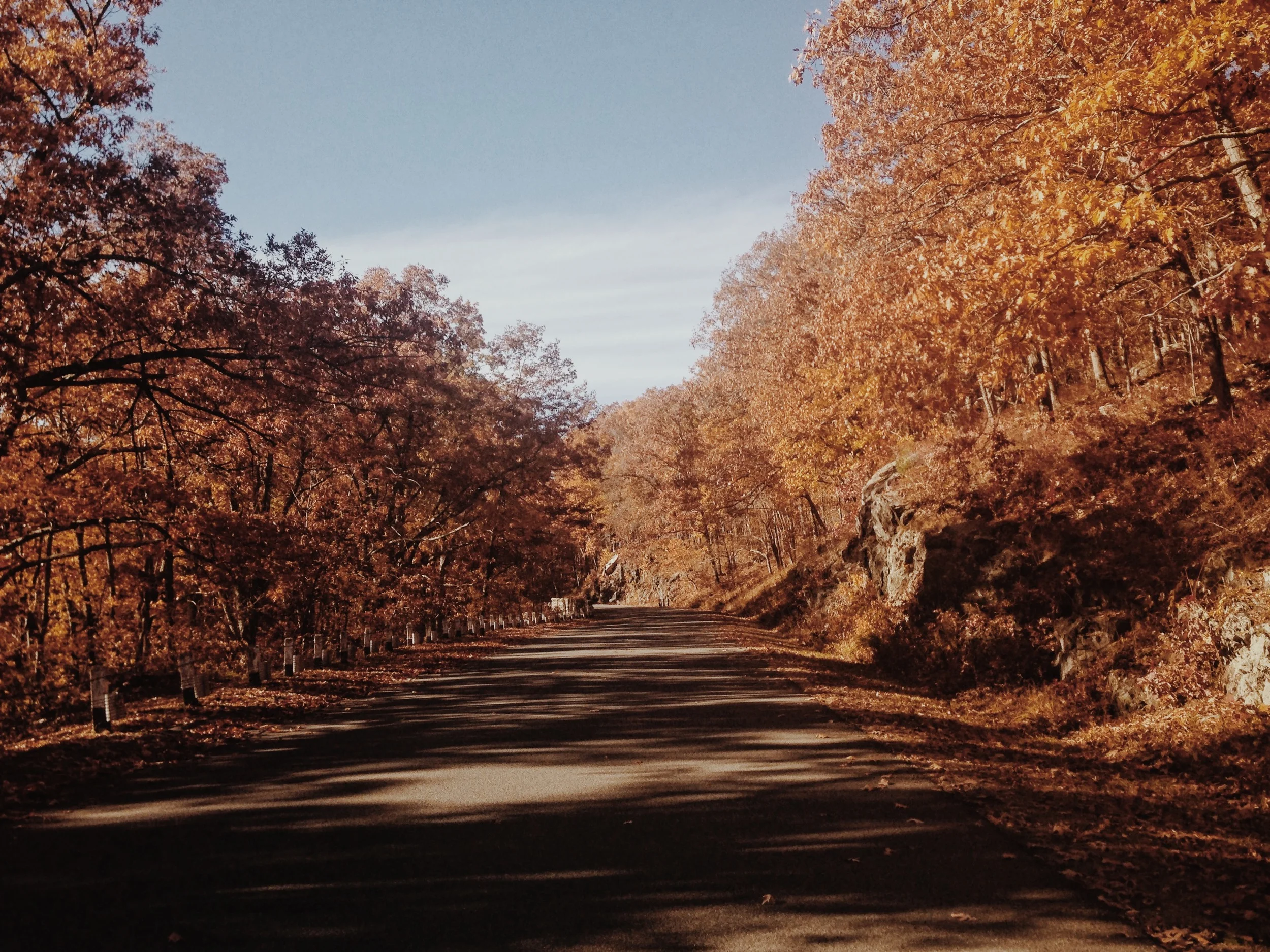 Photo Nov 02, 2 06 22 PM.jpg