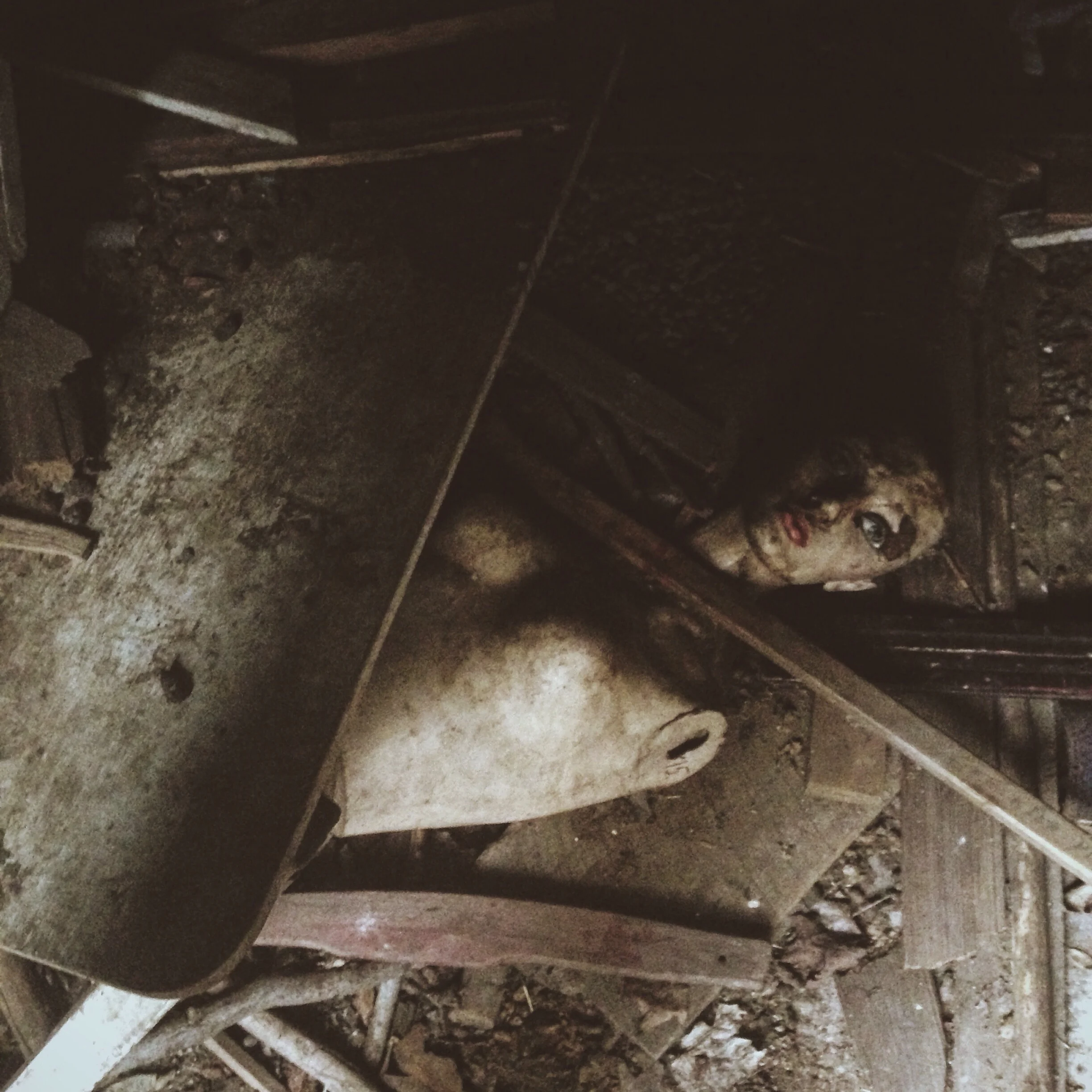 Photo Nov 02, 4 08 15 PM.jpg