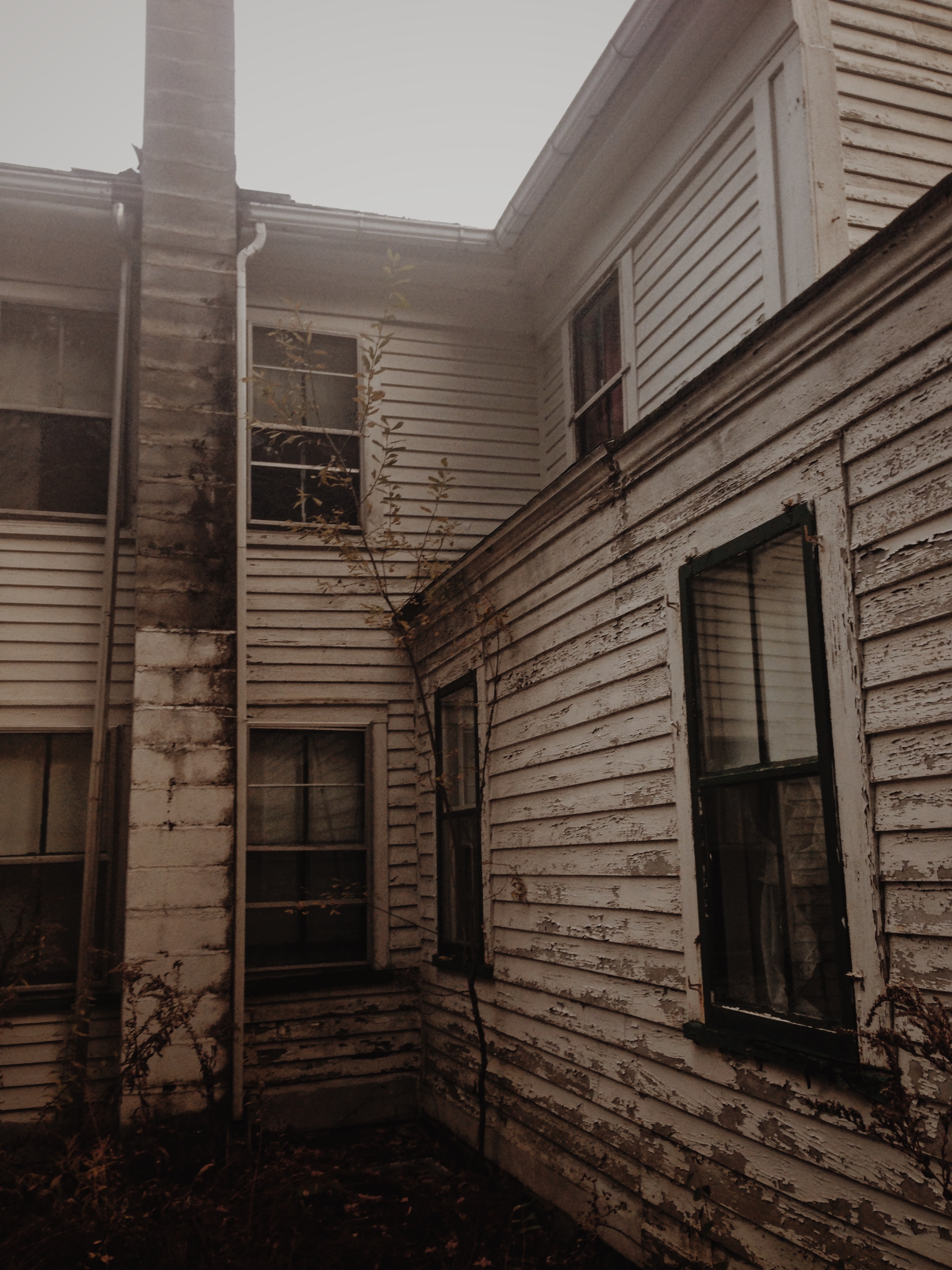 Photo Nov 02, 4 10 16 PM.jpg