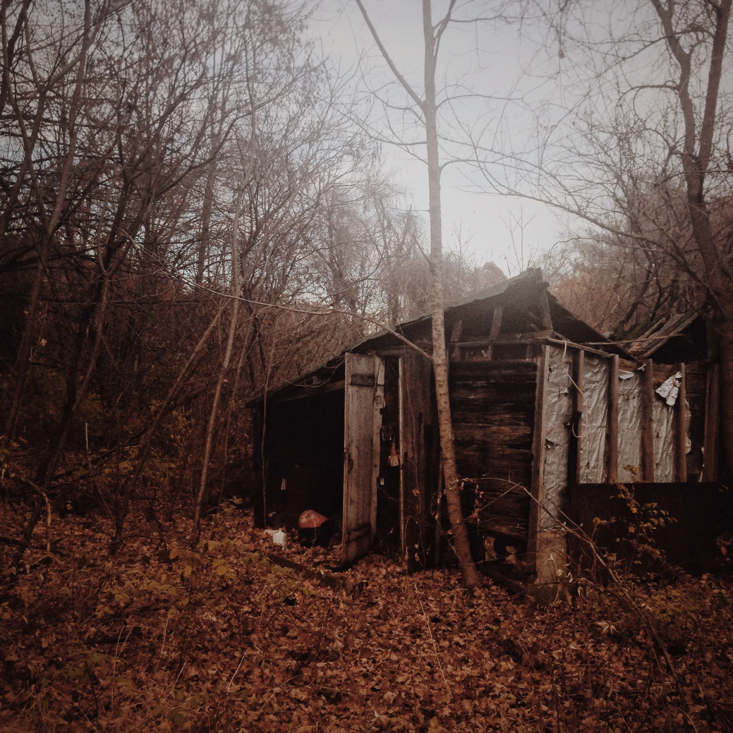 Photo Nov 02, 4 14 48 PM.jpg