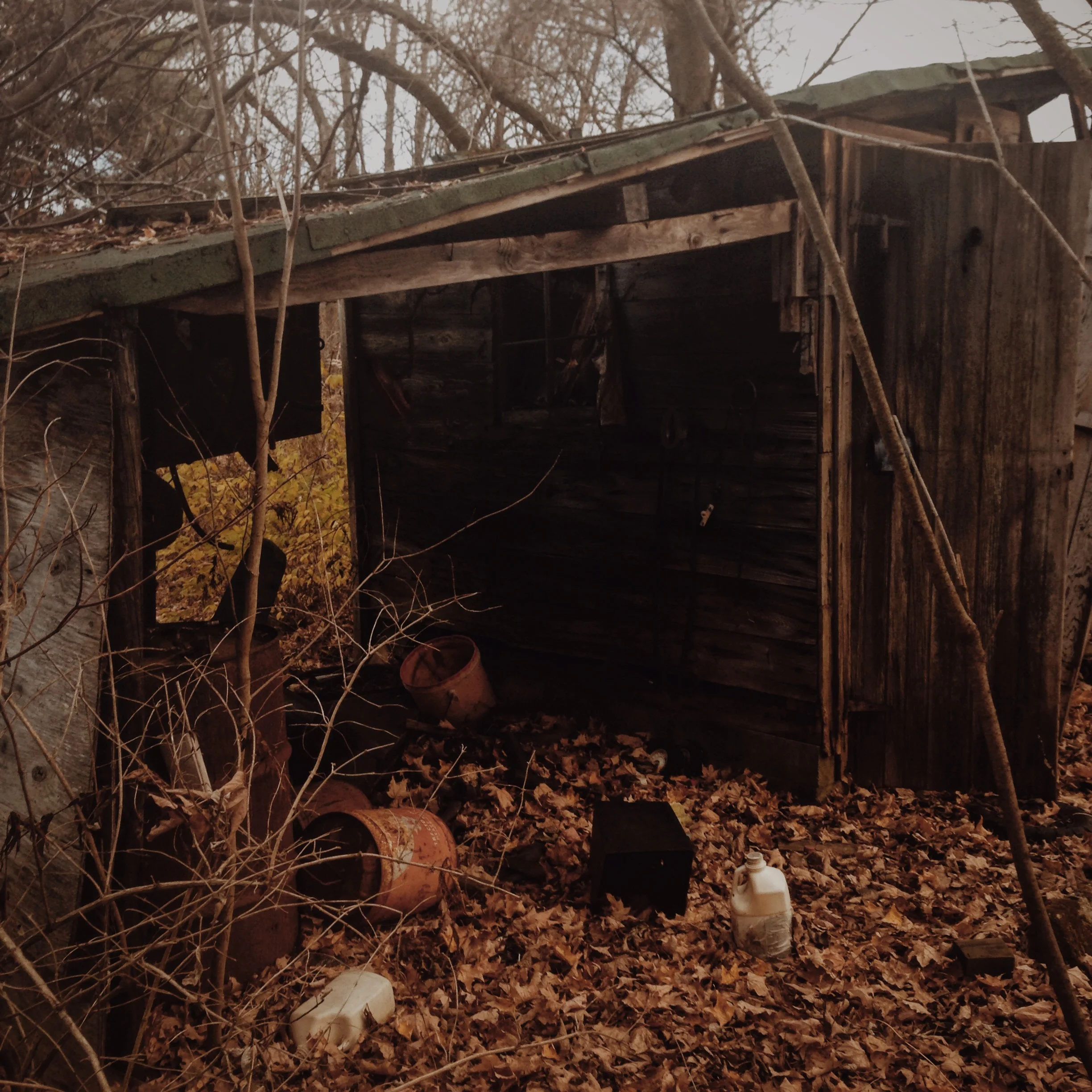 Photo Nov 02, 4 16 03 PM.jpg