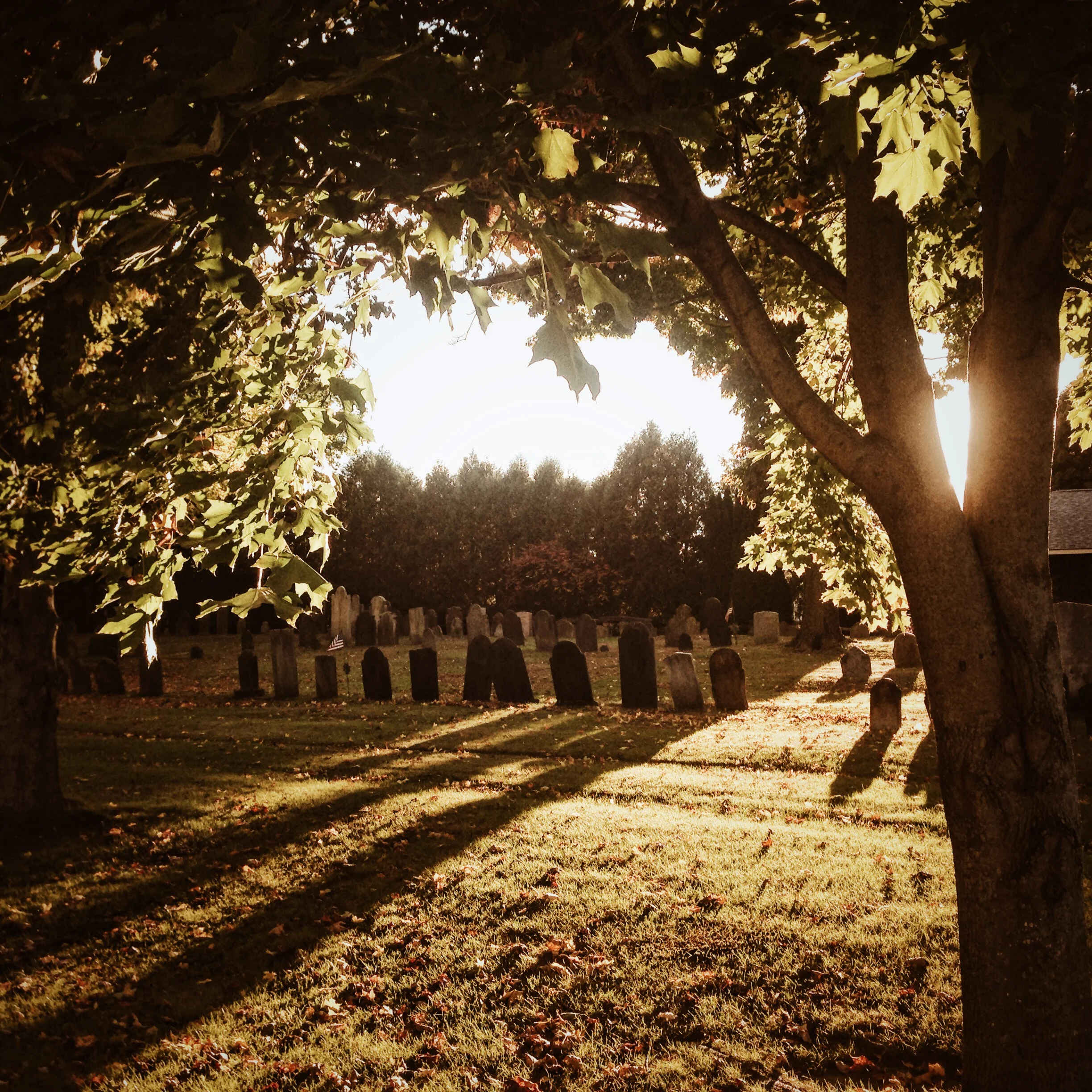   Looking for half hanged Mary  