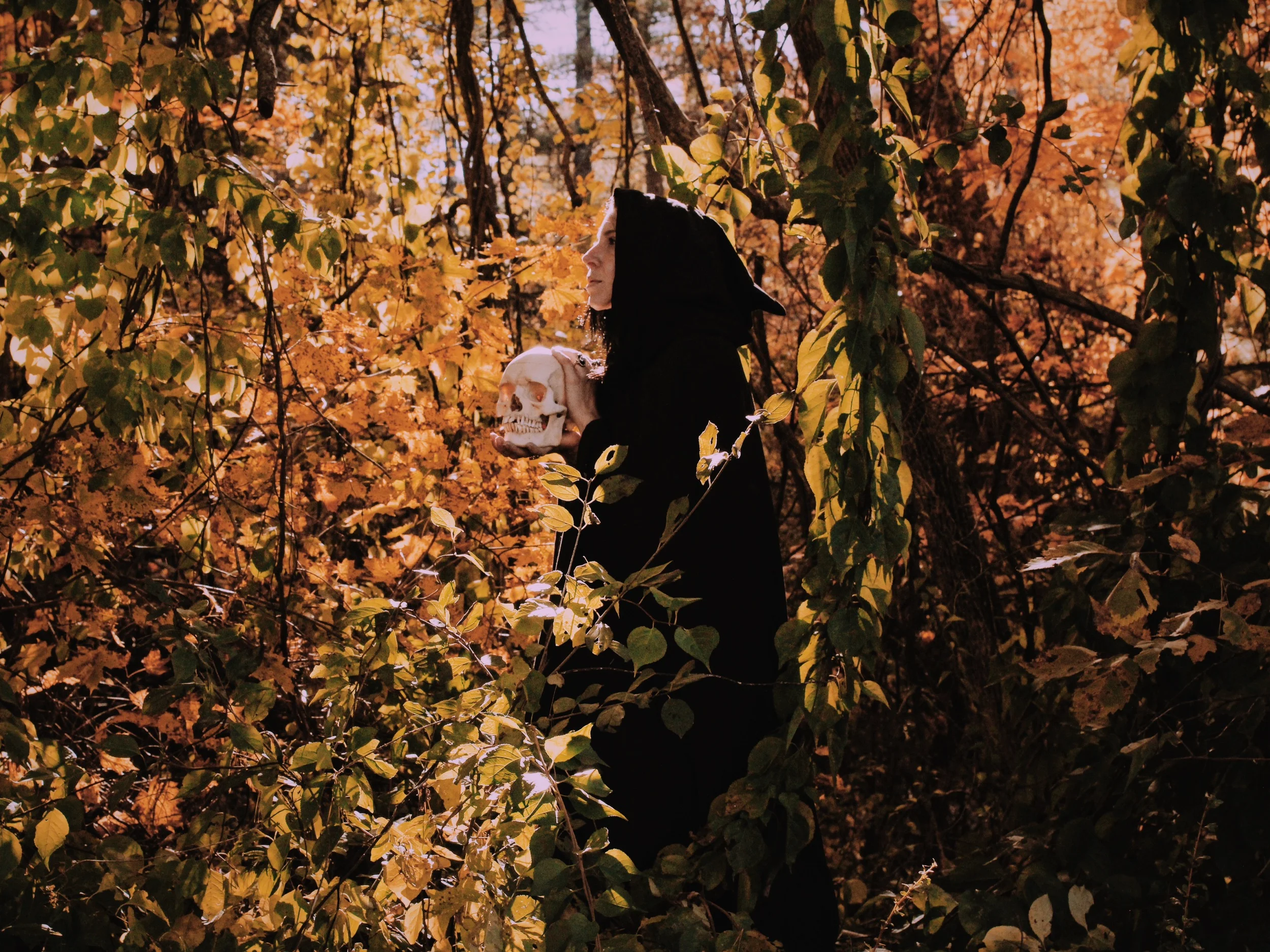   Ghost Towns with Steffanie Strazzeri and Bill Crisafi  