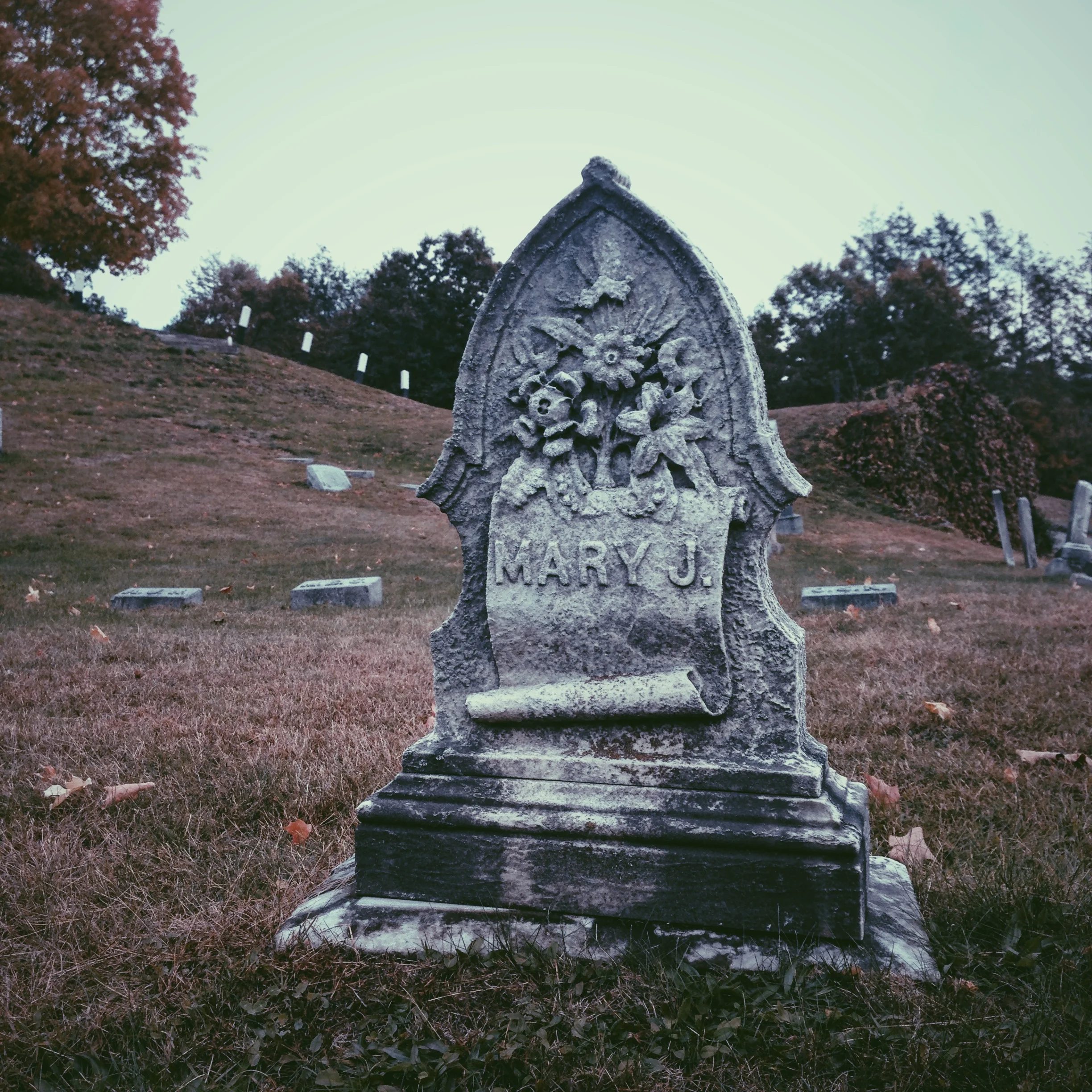 Photo Oct 21, 2 09 40 PM.jpg