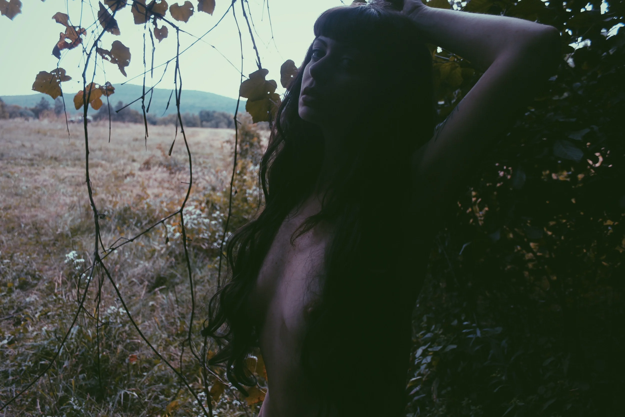   Self Portrait 10/2015  