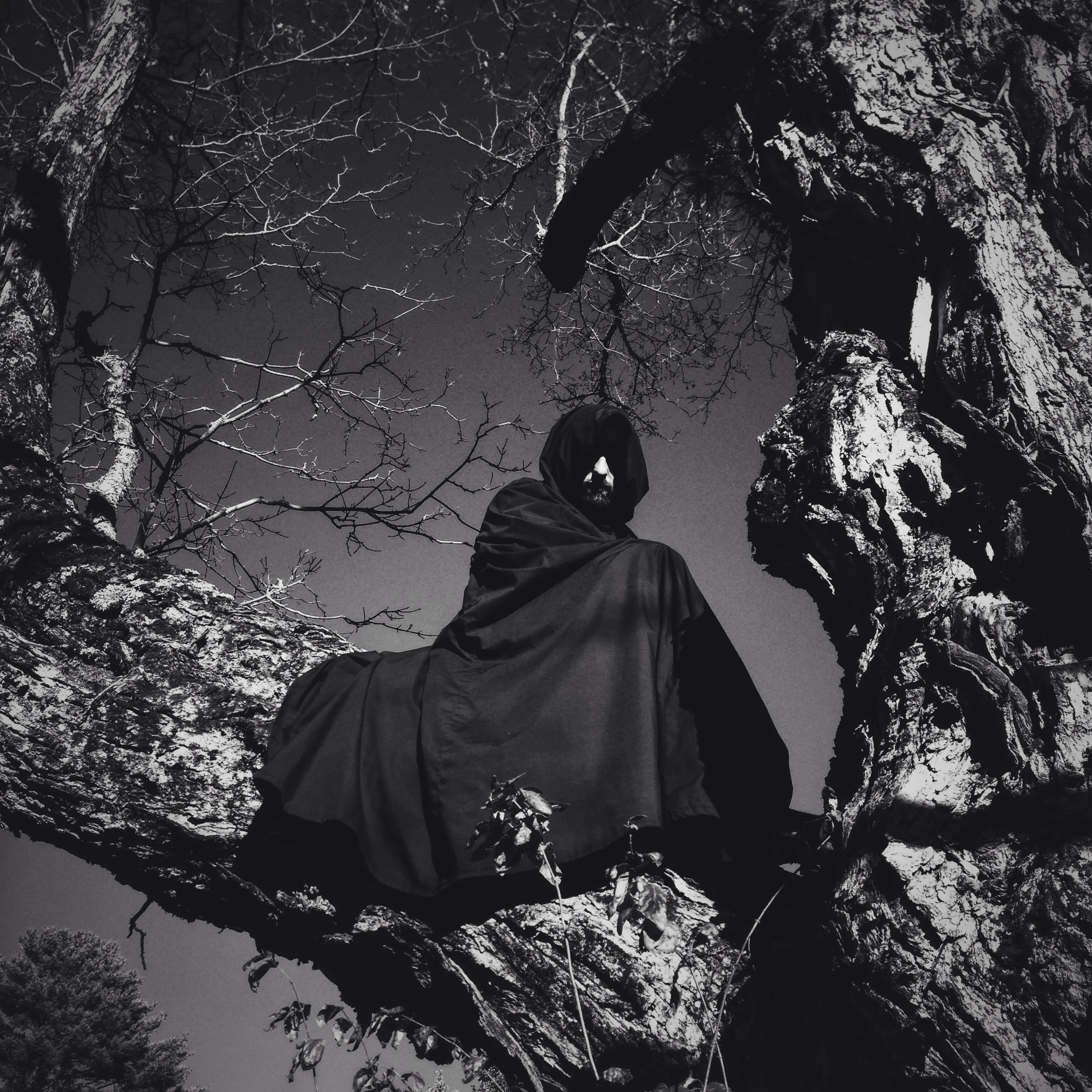 Photo Oct 15, 4 05 13 PM.jpg