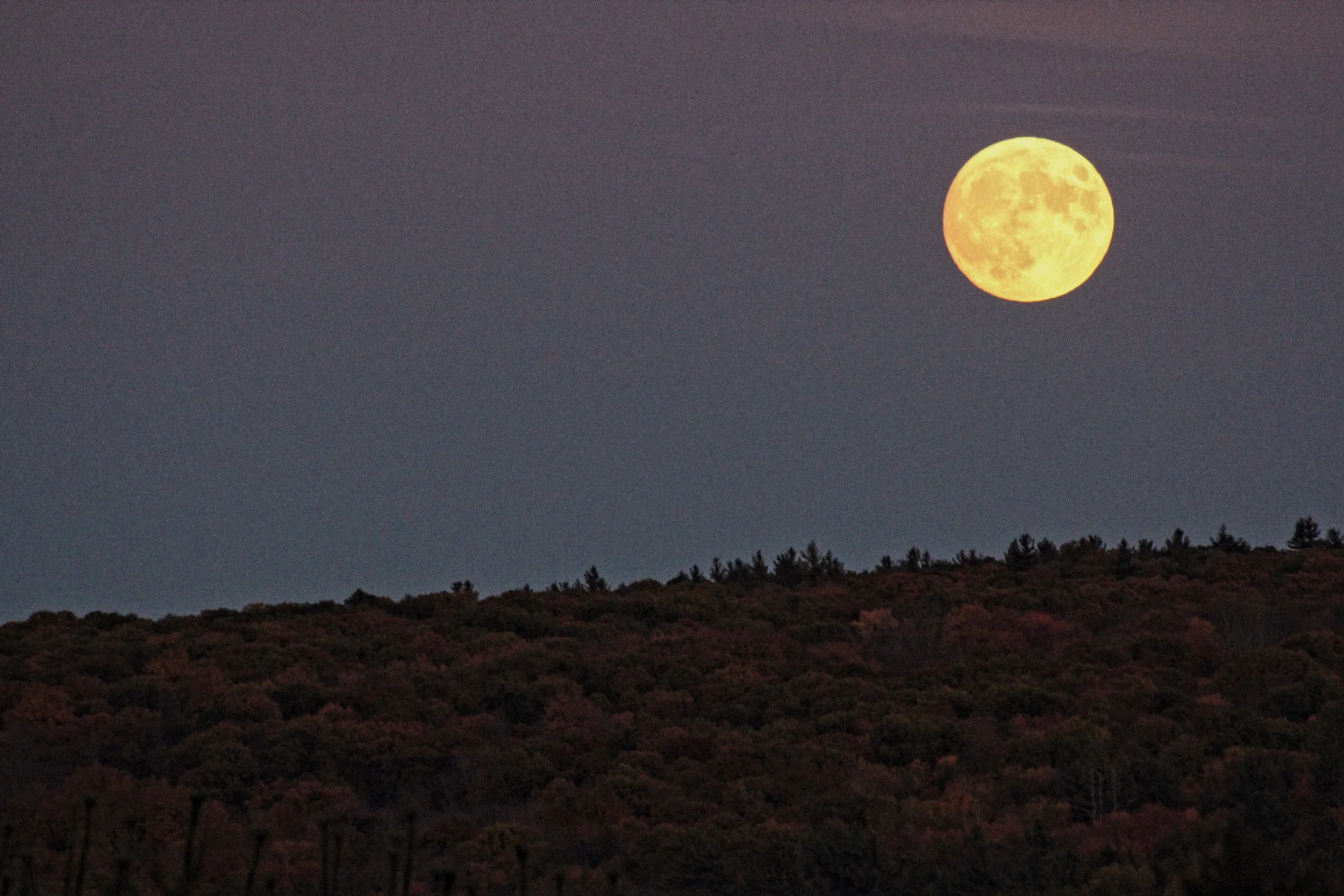 Photo Oct 26, 6 17 51 PM.jpg