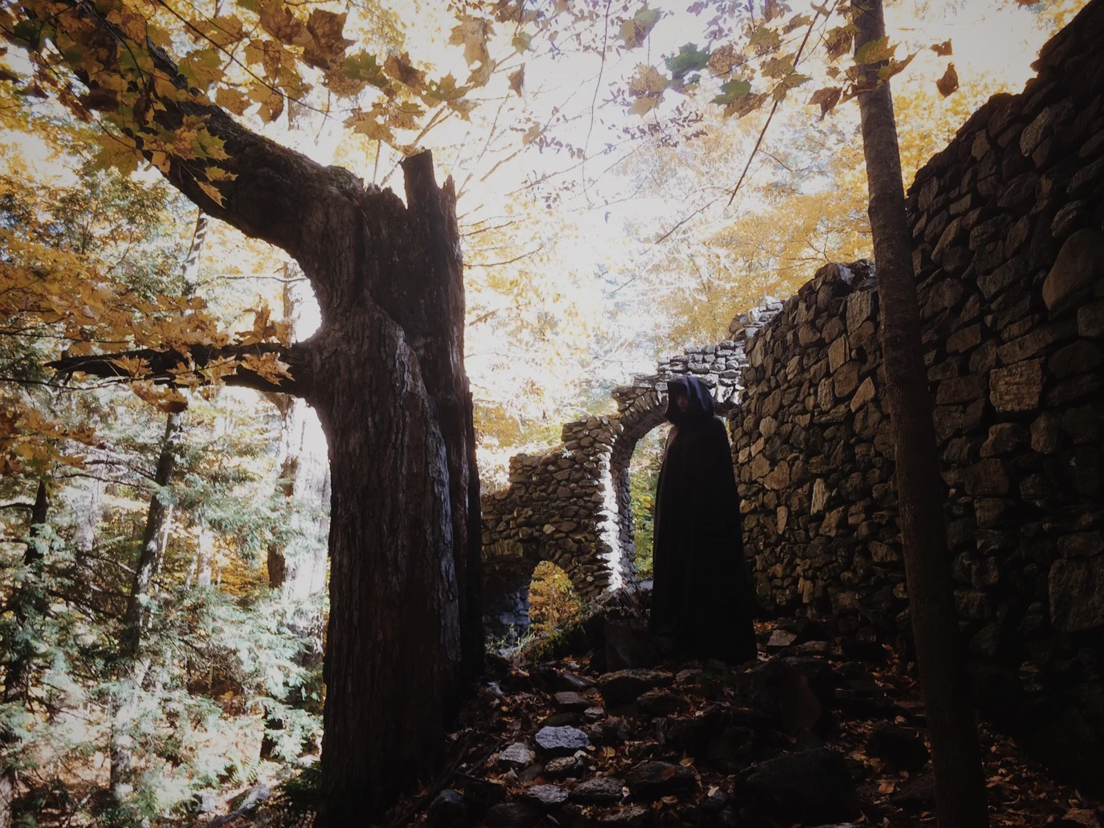 Photo Oct 12, 3 02 40 PM.jpg