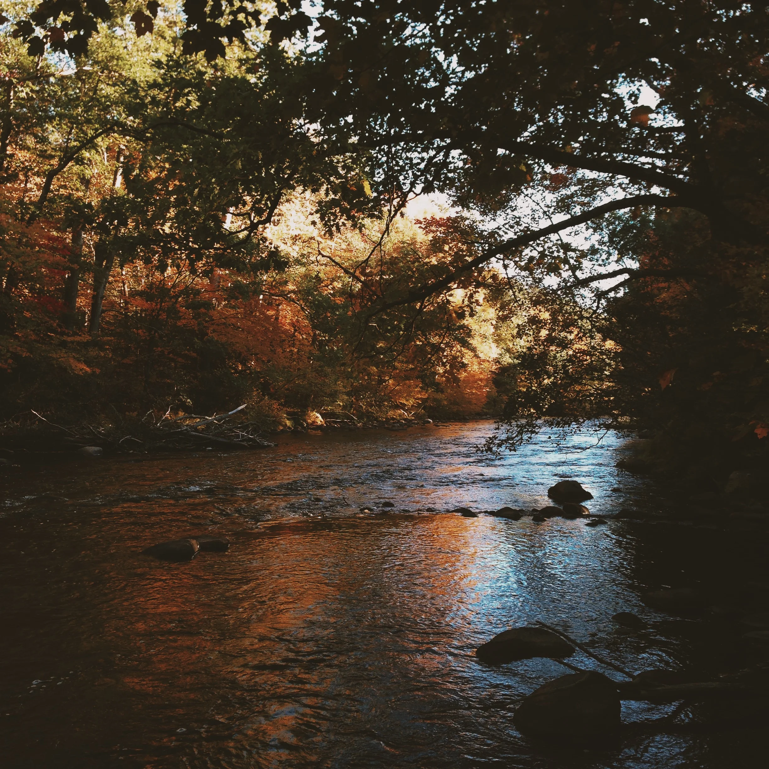 Photo Oct 11, 4 33 19 PM.jpg