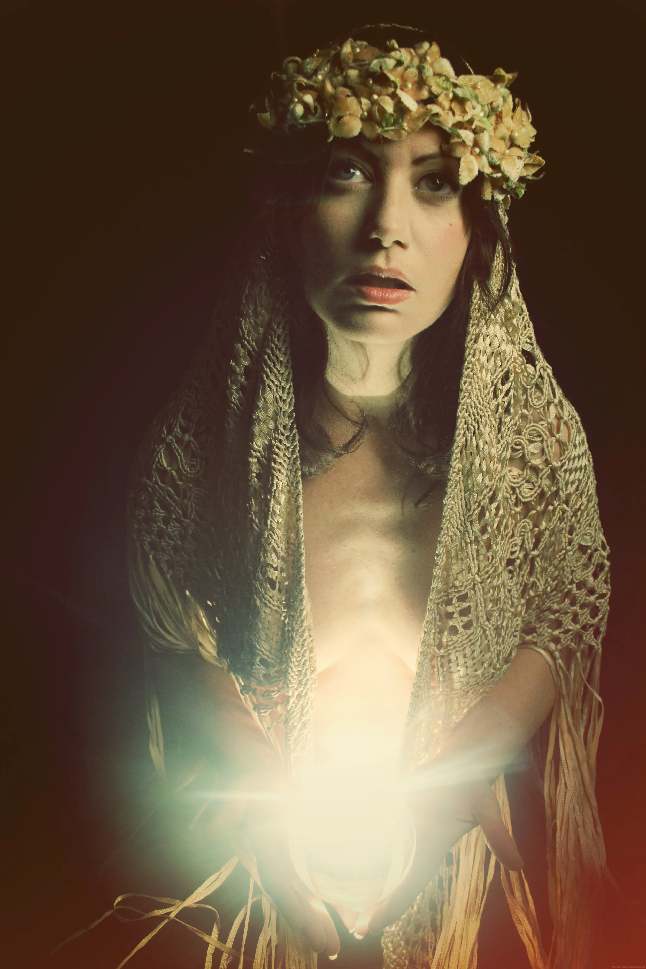 gentle-seeker-4_6601763971_o.jpg