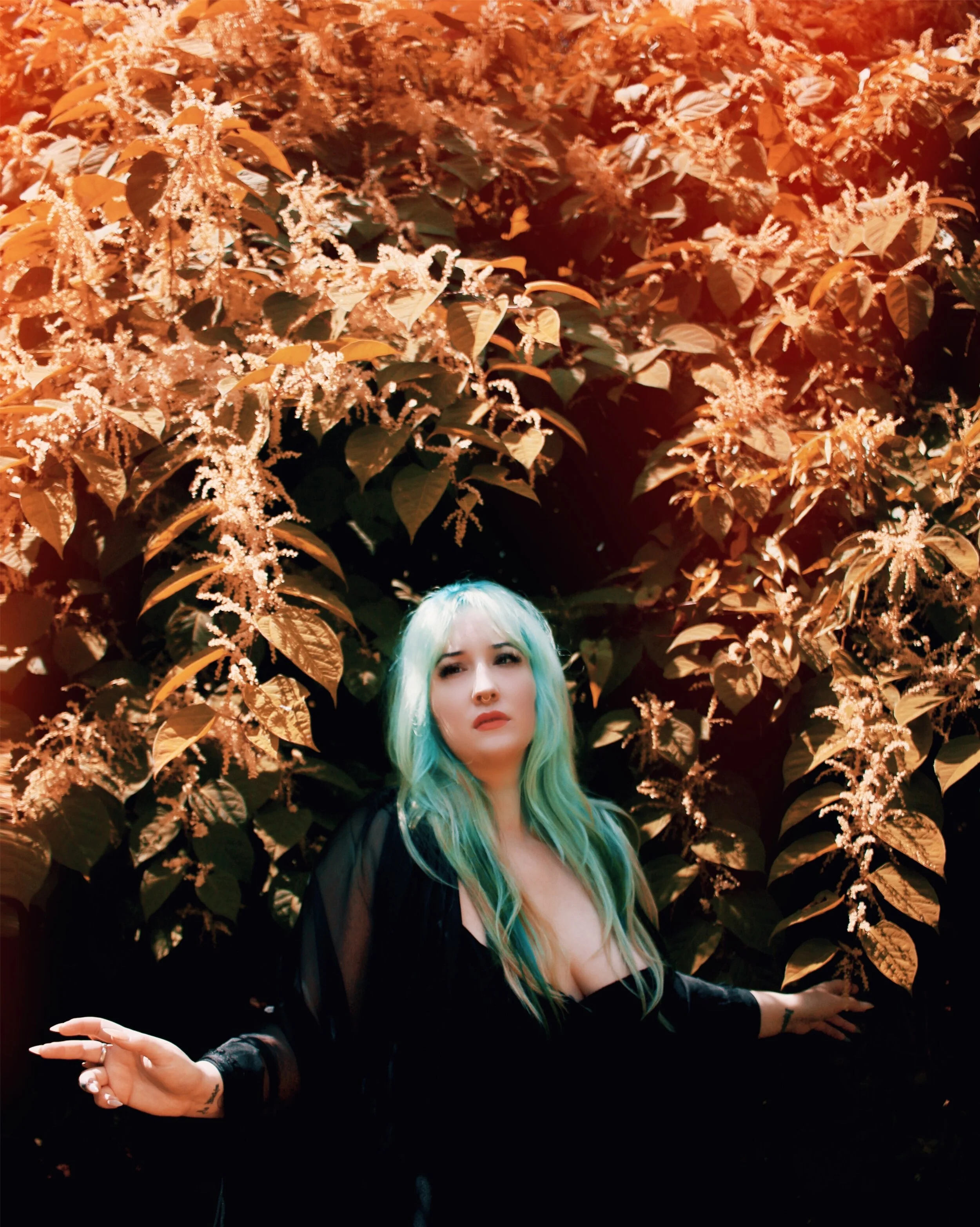 Photo Dec 07, 8 14 23 AM.jpg