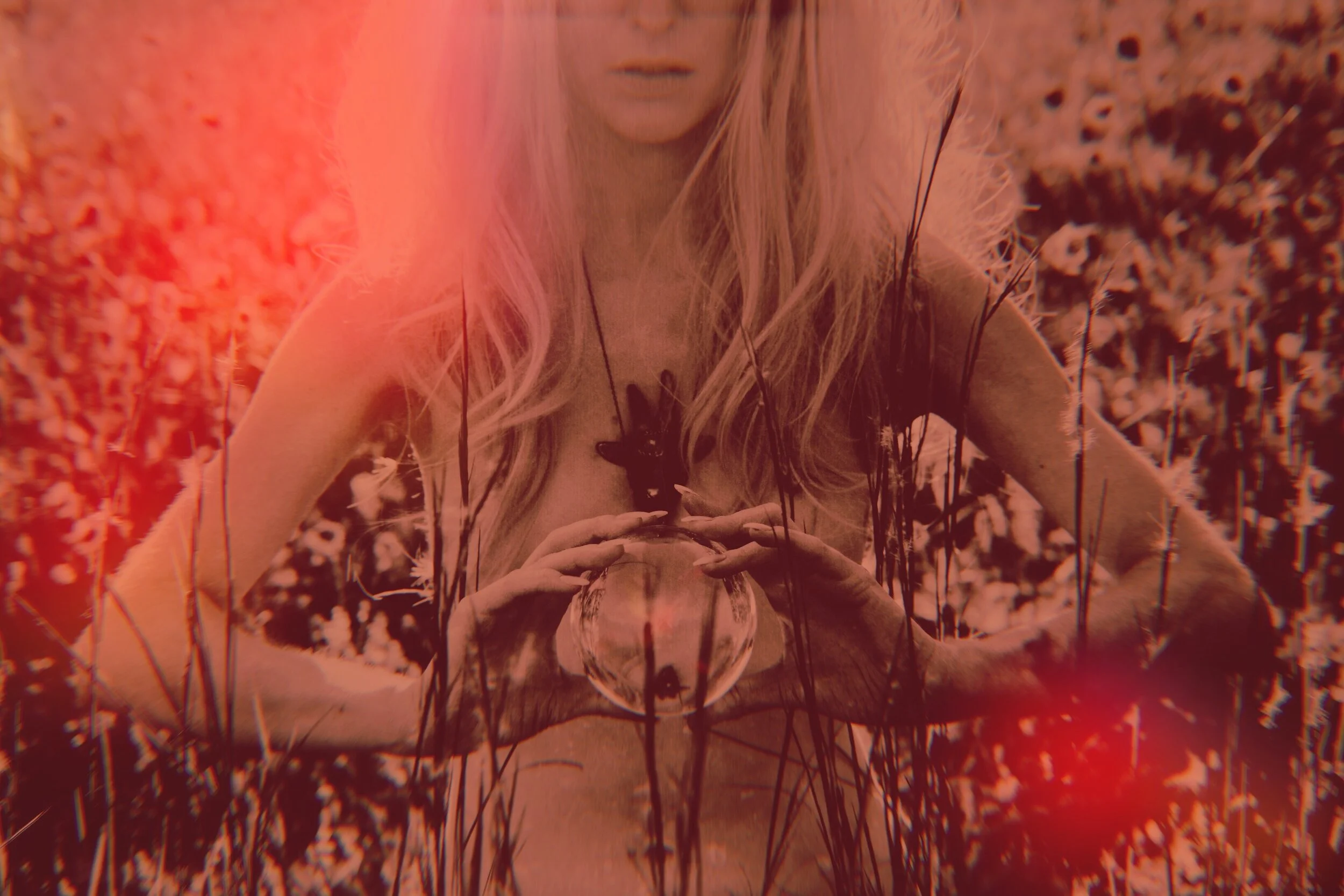 Photo Sep 19, 4 59 21 PM.jpg