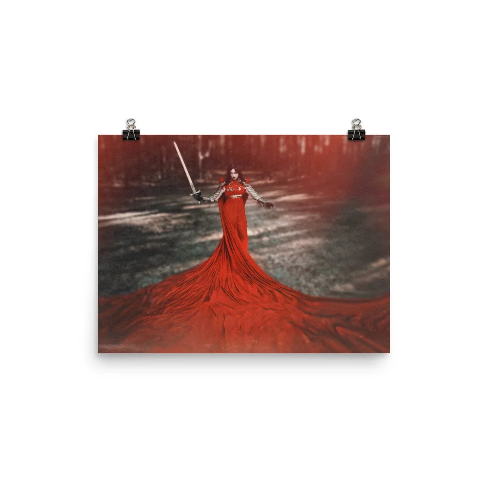 enhanced-matte-paper-poster-(in)-12x16-transparent-61ce4cec39e05.jpg