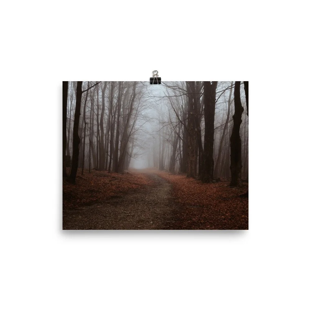 enhanced-matte-paper-poster-(in)-8x10-transparent-61ce4d91f2590.jpg