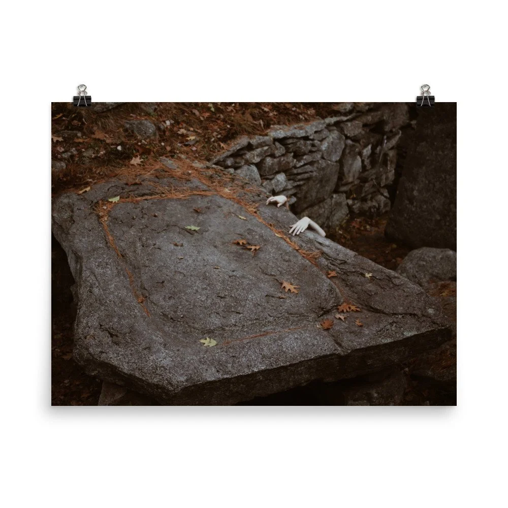 enhanced-matte-paper-poster-(in)-18x24-transparent-61ce4dc0c24d9.jpg