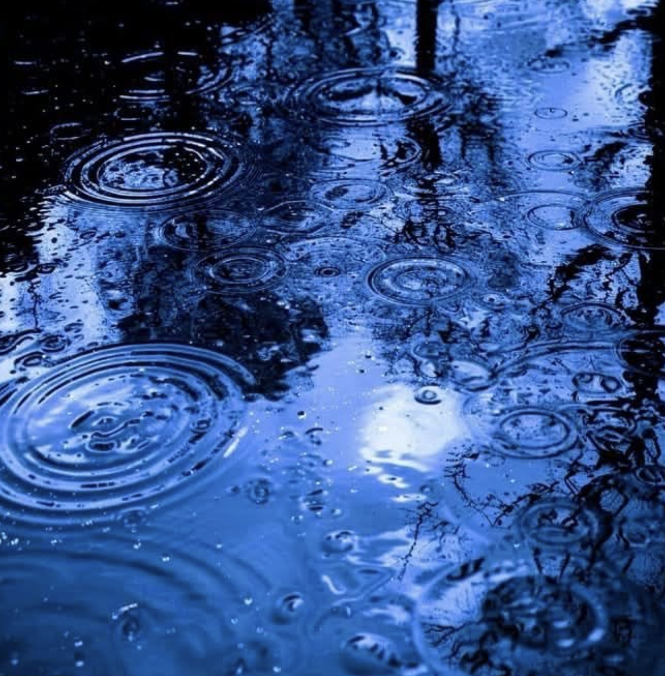 Rainlight in Blue