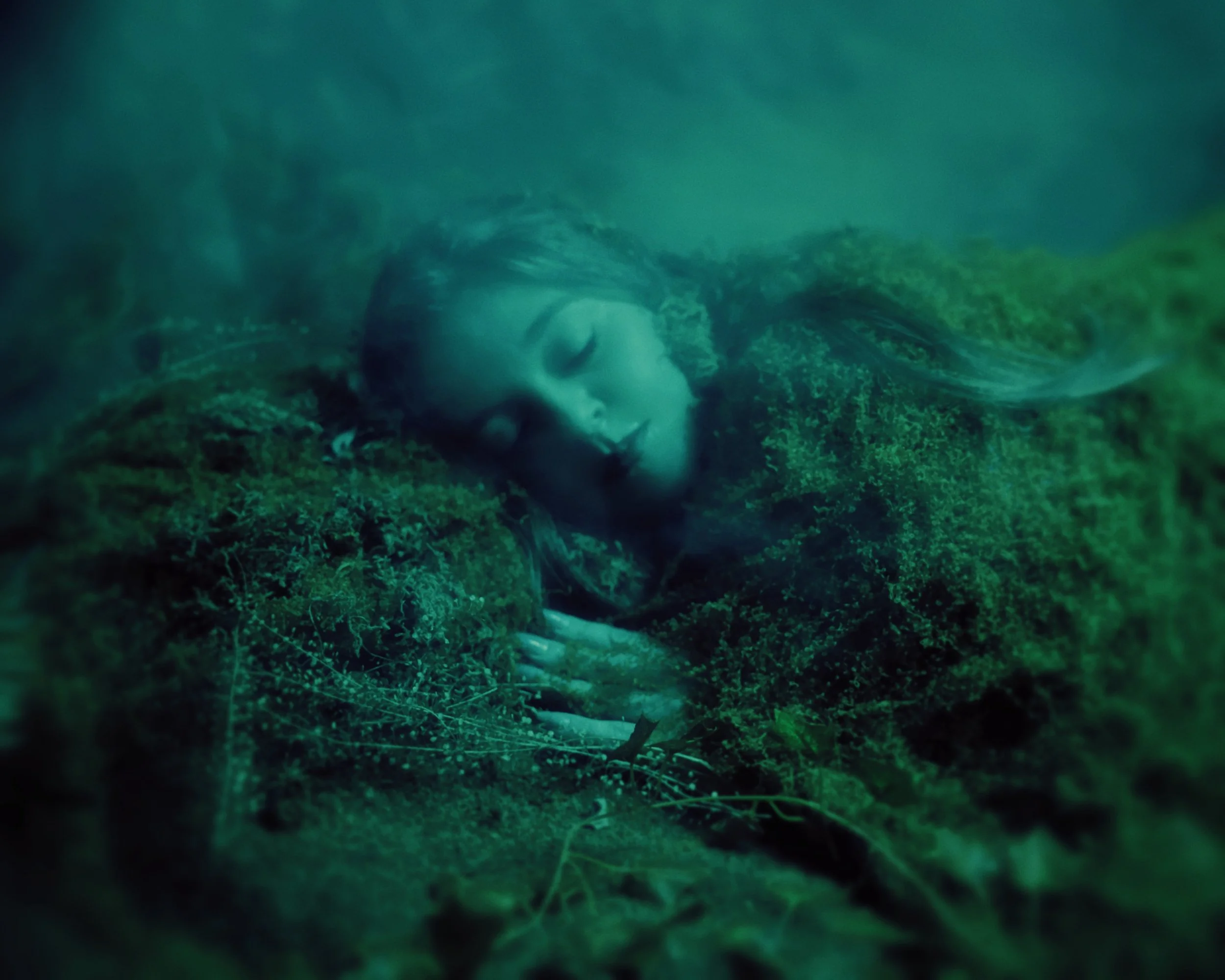 Life in the Undergrowth — Mini Sessions 