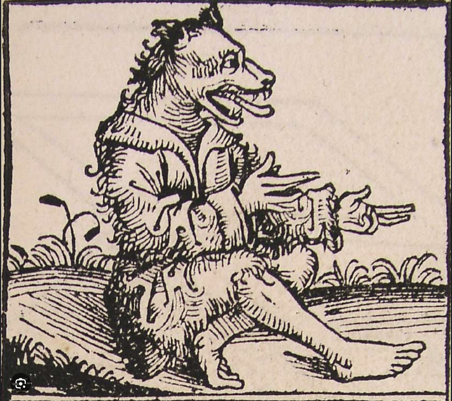 In the Company of Wolves At the Hill House Parlour 