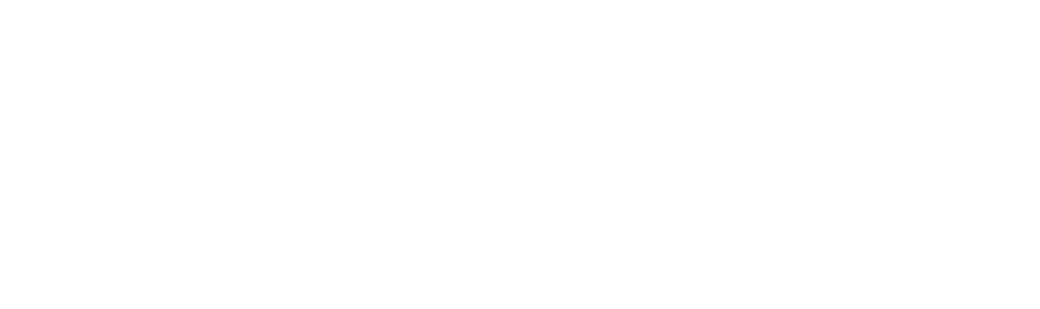 Veritas Guitars