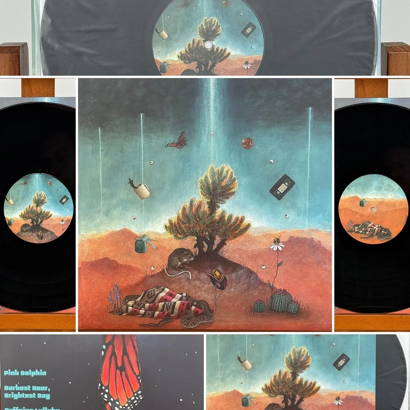 New vinyl available from @saidtheanimals #vinyl #newmusic Get your copy of the limited edition Teddy Bear Cholla on our website. Link in bio.