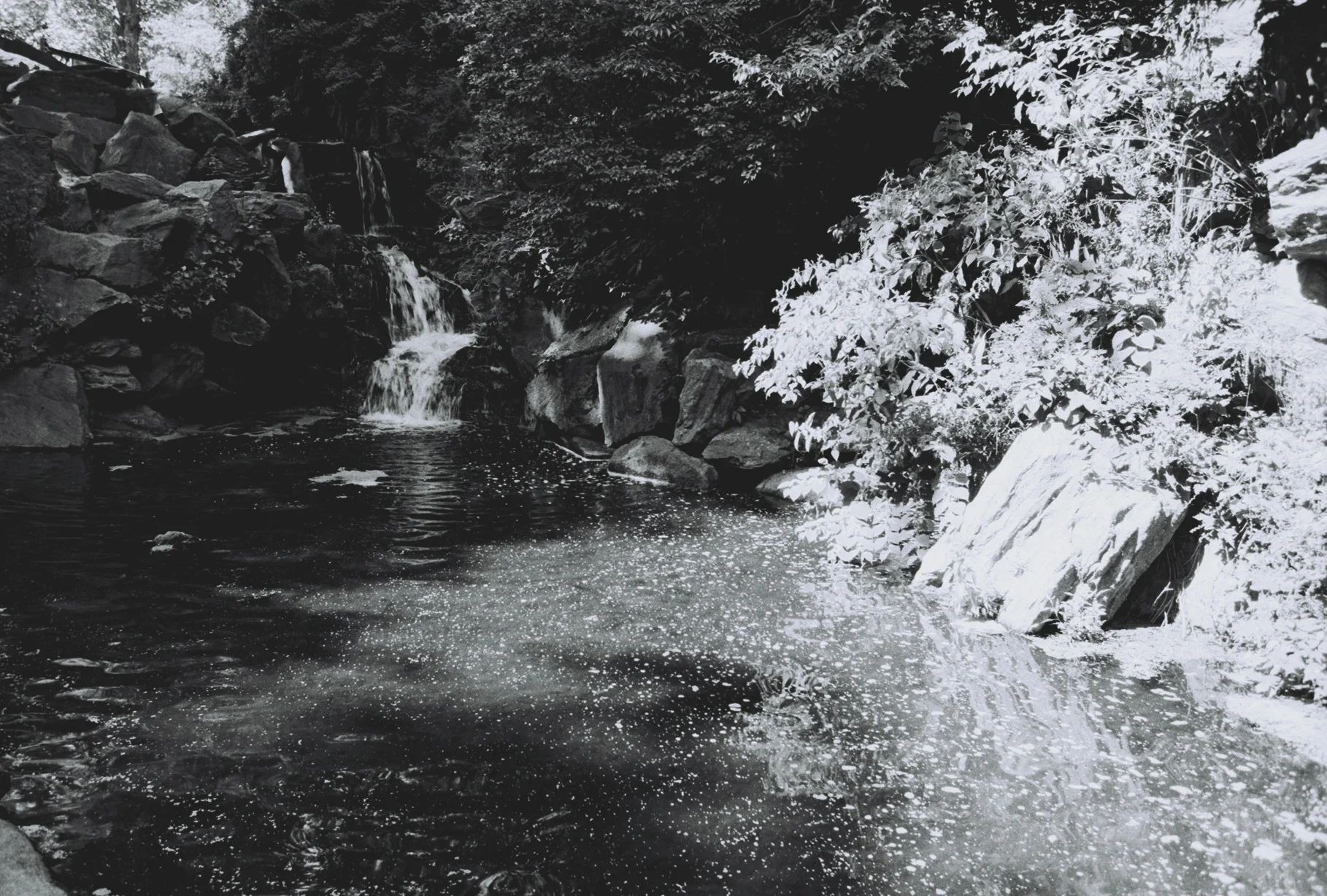 centralparkwest.jpg