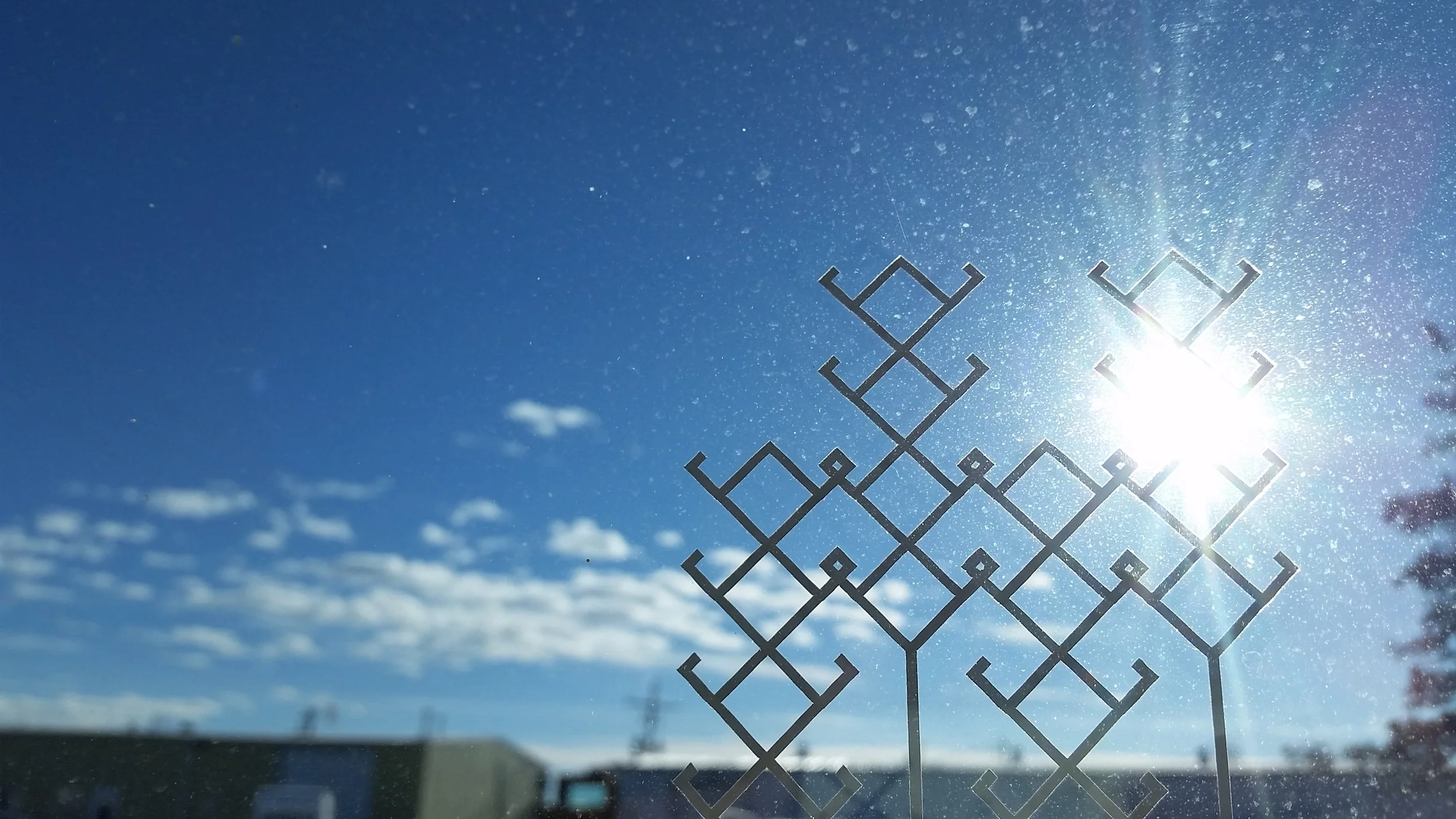 20160124_092131.jpg
