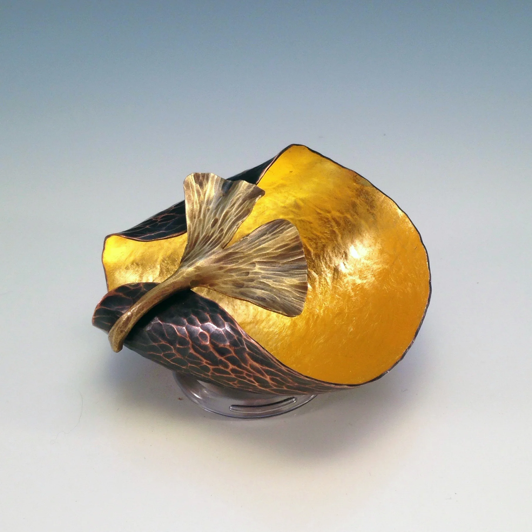 Ginkgo on Forest Form