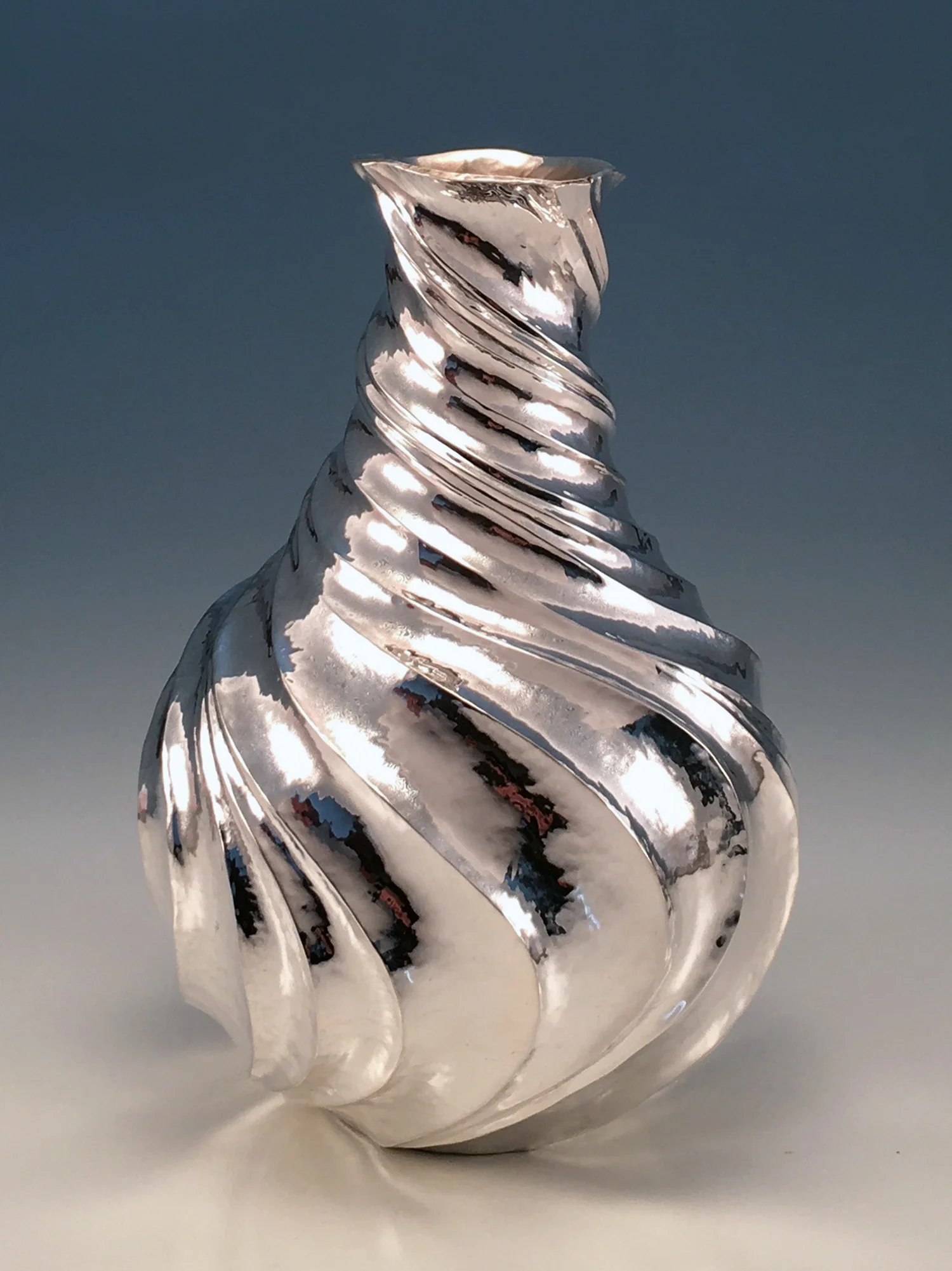 Raised Silver Bottle, "Silver Musings"