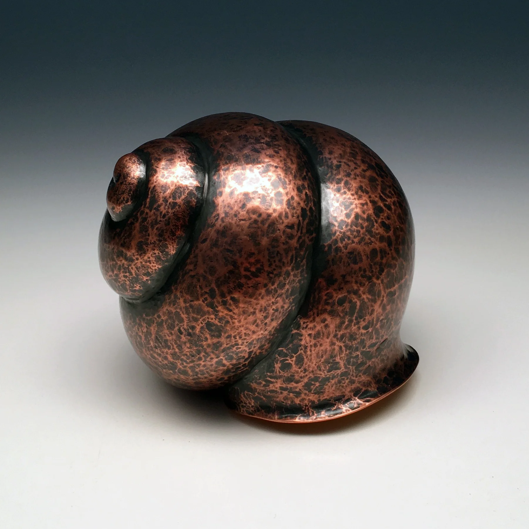 Artifact Series, Small Snail Shell