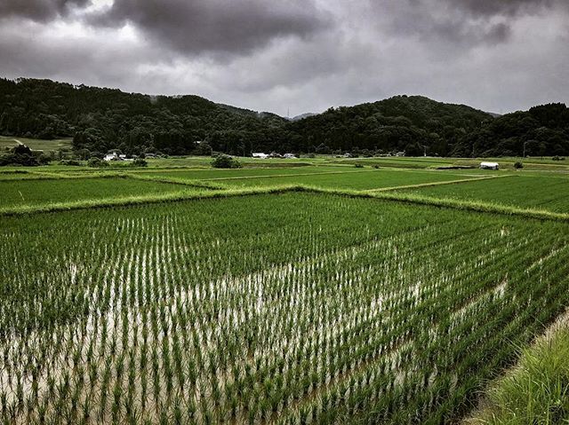 Kanazawa. Pre-rain. &mdash;&mdash;&mdash;&mdash;&mdash;&mdash;&mdash;&mdash;&mdash;&mdash;&mdash;&mdash;&mdash;&mdash;&mdash;&mdash;&mdash;&mdash;&mdash;&mdash;&mdash;
This place continues to amaze me. &mdash;&mdash;&mdash;&mdash;&mdash;&mdash;&mdash