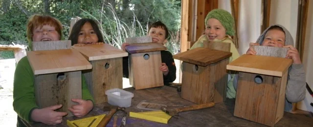 birdboxes.jpg
