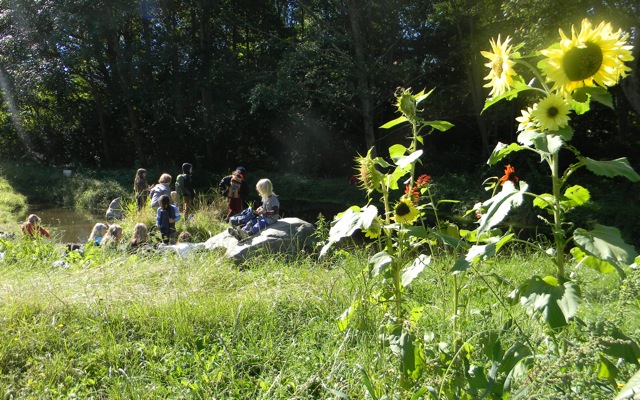 DSCN0324.jpg