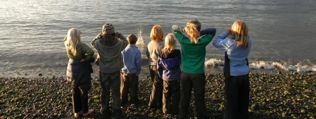 whalewatching.jpg