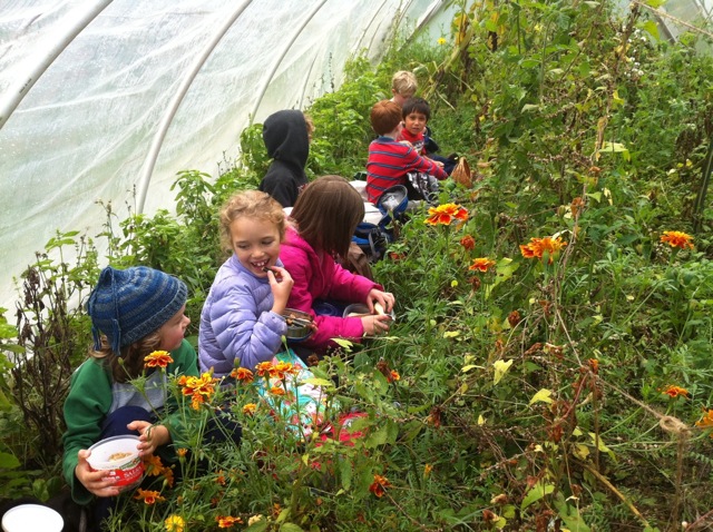 warm lunch in the hoop-house