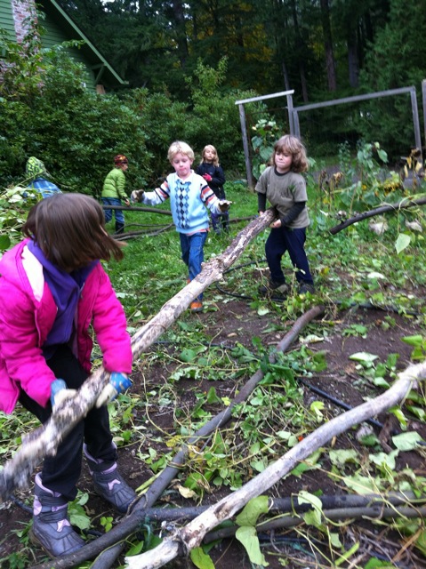 cooperative disassembling the bean pole structure