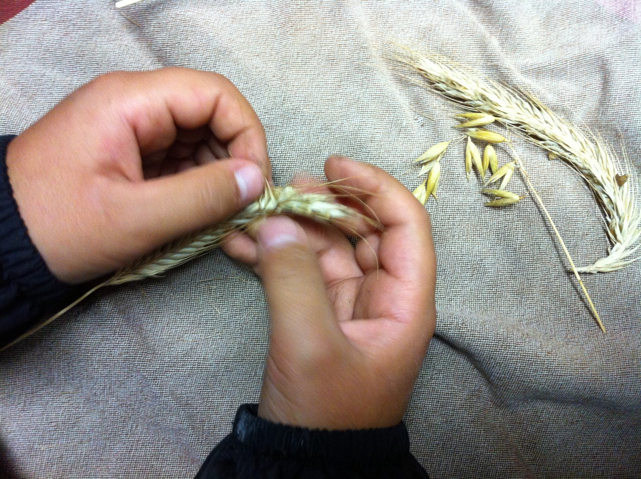 saving seeds