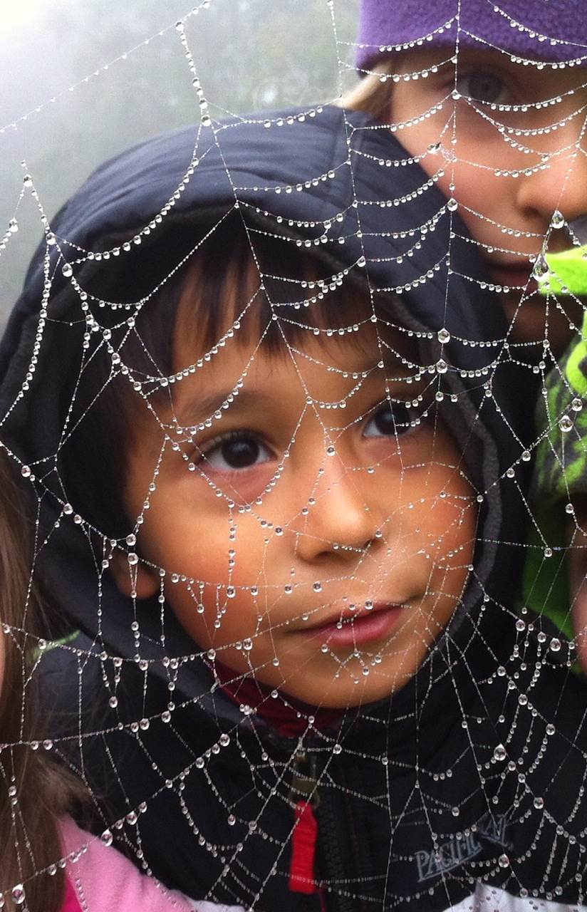 observations of a web