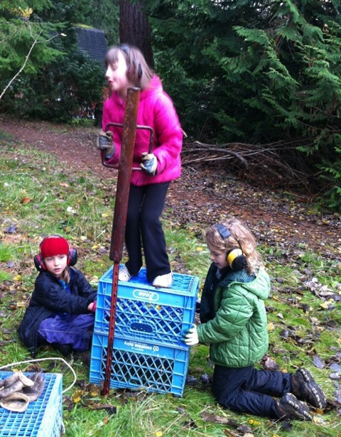 pounding posts for duckling and chick enclosure