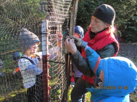 Hanging the duck and chick enclosure door