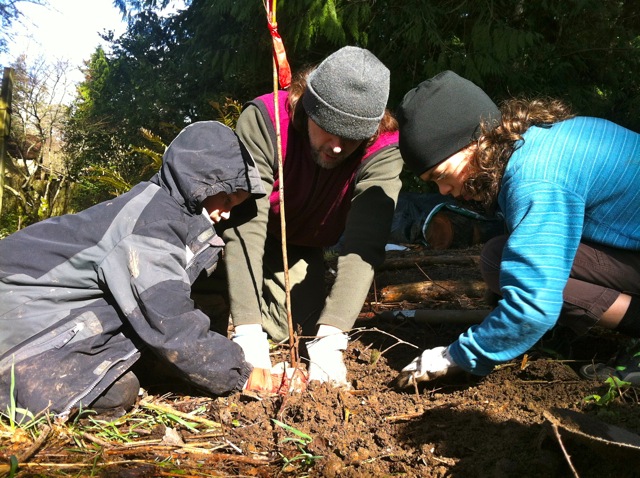 planting trees