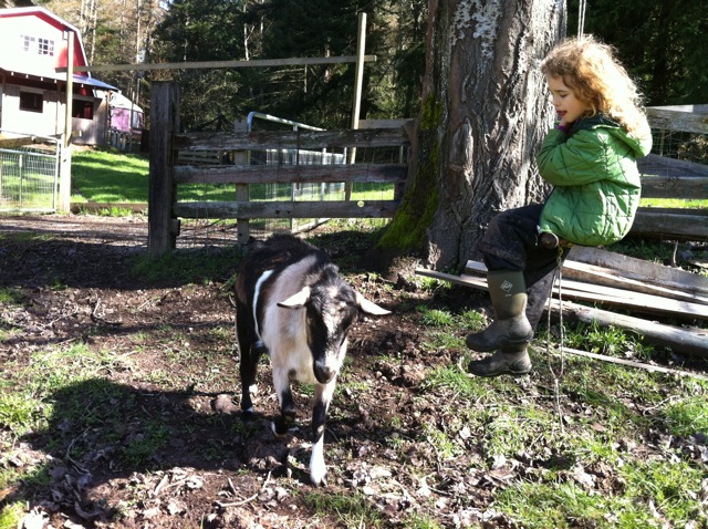 swinging in the pasture